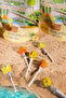 Organic Tropical Lollipops 6 Pack - 4