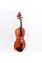 1/4 Size Student Acoustic Violin Set – Classic Design with Maple Bridge - 2