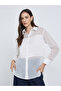 Solid Spread Collar Buttoned Shirt