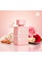 Badee Al Oud Noble Blush - 4