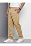 Men Brown Relaxed Fit Chino Pants - 2