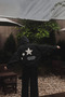 Unisex Oversize Hooded Sweatshirt Back Large Star Printed Casual Daily Streetwear - 3