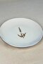 Tabak Evi Porcelain Natura Marinum Gold Gilded Serving Plate 24.50cm Single - 3