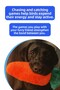 Chubby Carrot Plush Dog Toy |   Vikvik and the Orange Dog Playmate with Squeaky Sound - 6