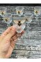 6-Piece Crystal Glass Coffee Side Water Glass Bee Glass 75 ml - 3