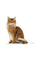 ®   Light Weight Diet Cat Food 8 kg - 4