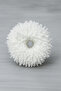 Women's Buckle White Bun Hair Clip