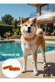 Orange Soft Textured Collar Dog Collar Dog Neck Collar - 7