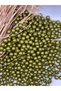 8 mm Olive Green a Quality Plastic Pearl Beads (50 Grams-200 Pieces) Jewelry Bag Accessory Beads - 3