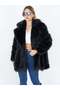 Fur - 2