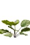 Artificial plant with tropical leaves in a 60cm round pot - 4