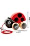 Ladybug Pull-Along Toy for Toddlers | Wooden Push & Pull Animal Toy with Flapping Wings | Inter - 3