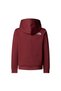 Teen Drew Peak Pullover Hoodie Teenage Boy Sweatshirt Nf0A8Ehh0Vo1 Multicolor-Xl - 2