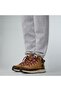 Children's Back-To-Berkeley Iv Hiker Waterproof Boots Nf0A7W5Zohu1 Brown-36 - 6
