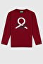 Boy's Printed Sweatshirt 6-14 Years Old Burgundy
