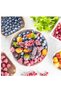 Freeze Dried Fruit 10-Piece Mango Pack - 4