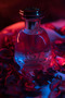 Ellisa Kadın Parfüm 100 ml - 3
