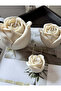 RoseMini - 3