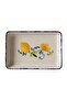 Lemon Presentation Plate 22X15Cm