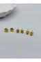 Set of 6 Star Model Steel Earrings - 2