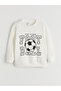 Printed Boy's Sweatshirt