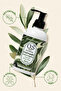 Olive Oil Body Lotion - 2