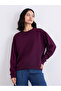 Regular Fit Solid Sweatshirt - 3