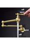 Kitchen Stove Top Faucet Pot Brushed Matte Gold Antique New Imported 7 Years Warranty High Quality - 5