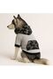 Large Breed Grey Soldier Dog Sweati Dog Outfit (11-45kg) - 5