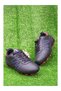 Orthopedix Football Kids Cleats Sports Shoes 28843 - 6