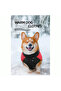 Waterproof Winter Coat with Leash Area for Dog - 2
