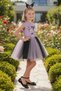 Girls' Special Occasion Dress with Crown Accessories Kuromi Printed Skirt and Tulle Sleeves Cf-25002 - 2