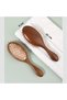 Natural Wooden Toothed Sandalwood Oval Hair Lightening Brush Air Cushion Medium Size Hair Brush Af-109 - 2