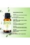 Niouli Oil 100% Natural Herbal Essential Oil 10 ml - 2