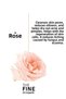 Pore ​​Tightening and Purifying Tonic with Rose Water & Aloe Vera Extract 150ml - 4