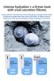 Snail Extract Intensive Moisturizing and Brightening Set Cell Renew Snail Skin Care Set - 6