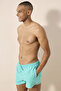Men's Line Green Swim Shorts