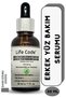 Men'sFacialCare Serum
