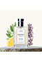 E-176 EDP Frequence 50 ML