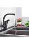 Kitchen faucet, pull-out shower head - 3