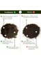 Vermicompost 5 kg 100% Natural Organic Fertilizer for Plants - 2