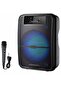 Wireless Bluetooth Speaker with FM Radio, TF Memory Input, USB Input, Microphone Input