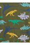 Baby Boy Green Dinosaur Graphic Printed T-Shirt - 2