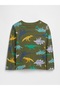Baby Boy Green Dinosaur Graphic Printed T-Shirt