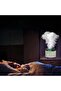 AUTO FAMILY Flame Cool Mist Humidifier – Ultrasonic Essential Oil Diffuser with Color-Changing LED - 8