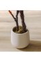 Fiddle Leaf Fig Artificial Tree - 190 cm Faux Greenery, Realistic Indoor Décor for Home & Office - 4