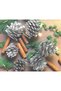 6-Piece Silver Color Real Pine Cone Christmas Tree and Decor Ornament – 4 cm
