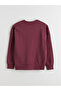 Lcw Visionembroidered Oversize Women's Thick Sweatshirt - 7