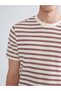 Burgundy Crew Neck Striped Combed Cotton Men's T-Shirt - 3