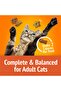 Purina Cat Treats, Party Mix Original Crunch - 30 oz. Pouch - 7